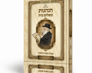 הנהגות בשלום בית חלק ב'